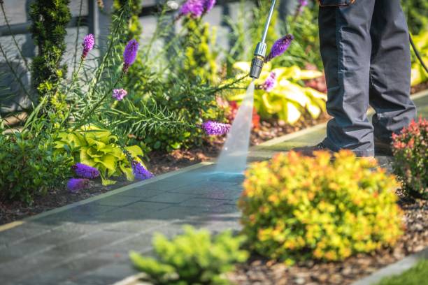 Best Parking Lot Cleaning in Lake Mills, IA